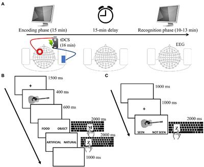 Opposite pattern of transcranial direct current stimulation effects in middle-aged and older adults: Behavioral and neurophysiological evidence